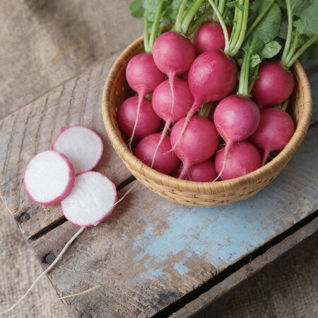 Pink Beauty, Radish Seeds - Packet image number null